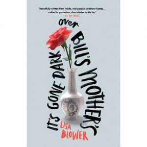 It's gone dark over Bill's Mother's by Lisa Blower book cover