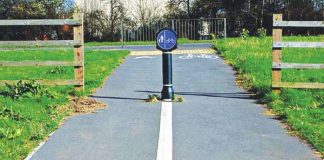 Town centre plans for walking, cycling and West Street changes all go through