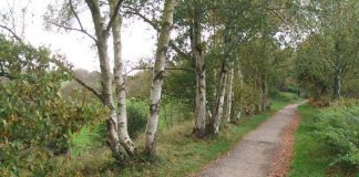 Mayor’s ‘safe town’ message after teen assaulted on Biddulph Valley Way The Biddulph Valley Way.