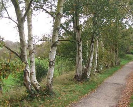 Mayor’s ‘safe town’ message after teen assaulted on Biddulph Valley Way The Biddulph Valley Way.