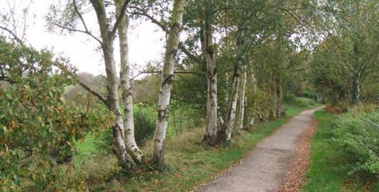 County Wildlife trust could manage Biddulph Valley Way