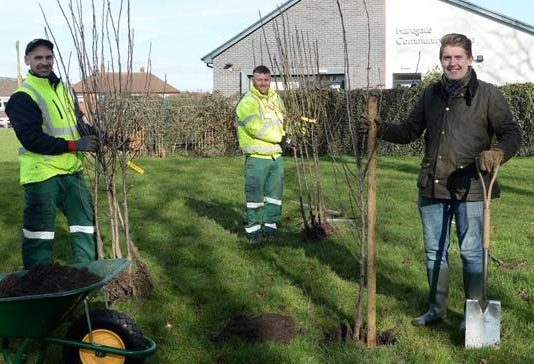 Five orchards to be planted under plans for ‘greener future’ community orchards.