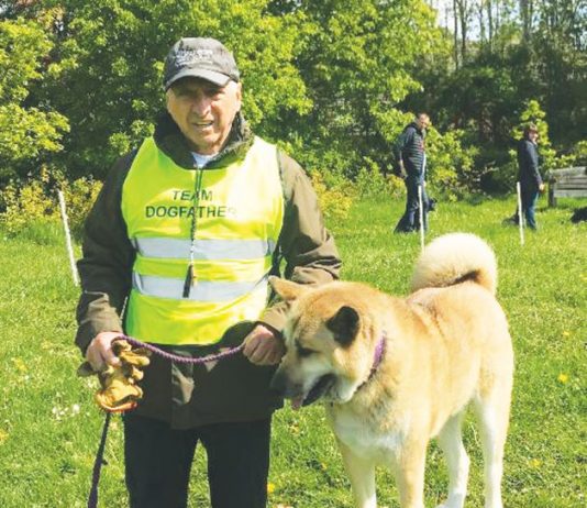 How to prevent a dog attack Vic Barlow training a dog.