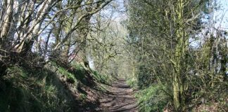 Lockdown walkers could have say on footpaths Biddulph local footpaths.