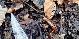 Police advice after knife found in Congleton park A flick knife found in Congleton Park.