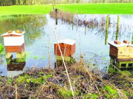 Cheshire theatre stung by beehive thefts Beehives stolen from Clonter Opera, Swettenham.