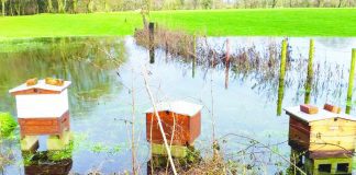 Cheshire theatre stung by beehive thefts Beehives stolen from Clonter Opera, Swettenham.