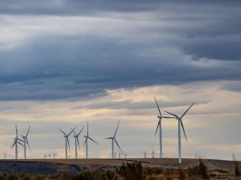 ‘Wind and solar energy more suitable than hydro-power’ Wind turbines in a field.