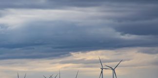 ‘Wind and solar energy more suitable than hydro-power’ Wind turbines in a field.