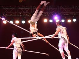 Roll up, roll up, the circus is back in town Gandey's Circus.