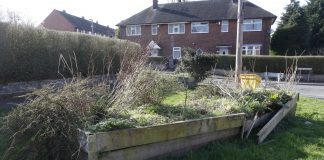 ‘Unmaintained’ planters were ‘safe and colourful’ Bromley Farm broken planters.