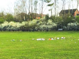 Group issued with fines for gathering at beauty spot Litter left at Astbury Mere Country Park.