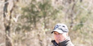 No lead required for this dog Dogfather.