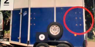 Have you seen horse trailer? Stolen horse trailer.