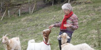 Organic farm attacked as ‘hillbilly settlement’ Rock End farm.