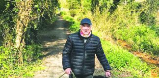 Migration walk bonds a pack Dogfather.