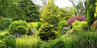 Garden to open for charities National garden scheme.