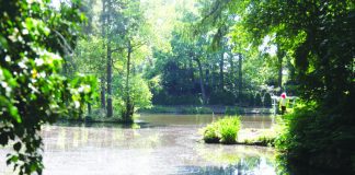 ‘Oxygen crash’ forces Congleton fishing pool to close Goodwins Pool.