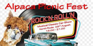 Meet the alpacas, and drive a JCB Alpaca Picnic Fest.