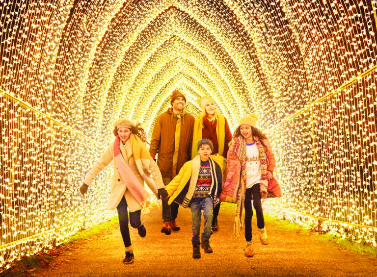 Delamere gets its own Christmas lights trail