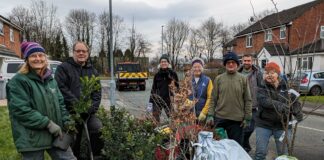 Tree planting effort growing towards goal Tress for Congleton.