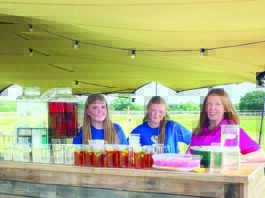 Tea in tipis raise tons of cash for Christie