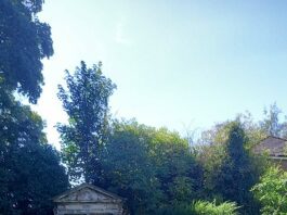 Physic garden holds open day in September