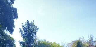 Physic garden holds open day in September