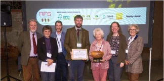 Country park wins woodland award