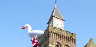 Response to Swantown a long way from mute!