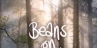 Beans on Toast: Wild Goose Chasers