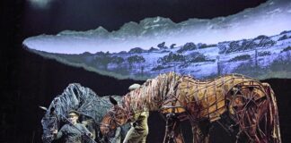 Review: War Horse at The Regent Theatre, Stoke-on-Trent