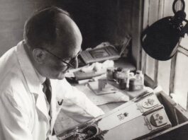 Arthur Holland ceramics go under hammer Arthur Holland.