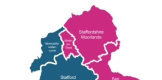 Reform backs east-west councils split
