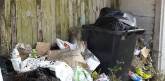 Council challenged to ‘get serious about fly-tipping