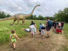 Dino disaster as T Rex is turfed out of Tatton