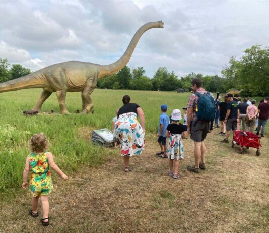 Dino disaster as T Rex is turfed out of Tatton