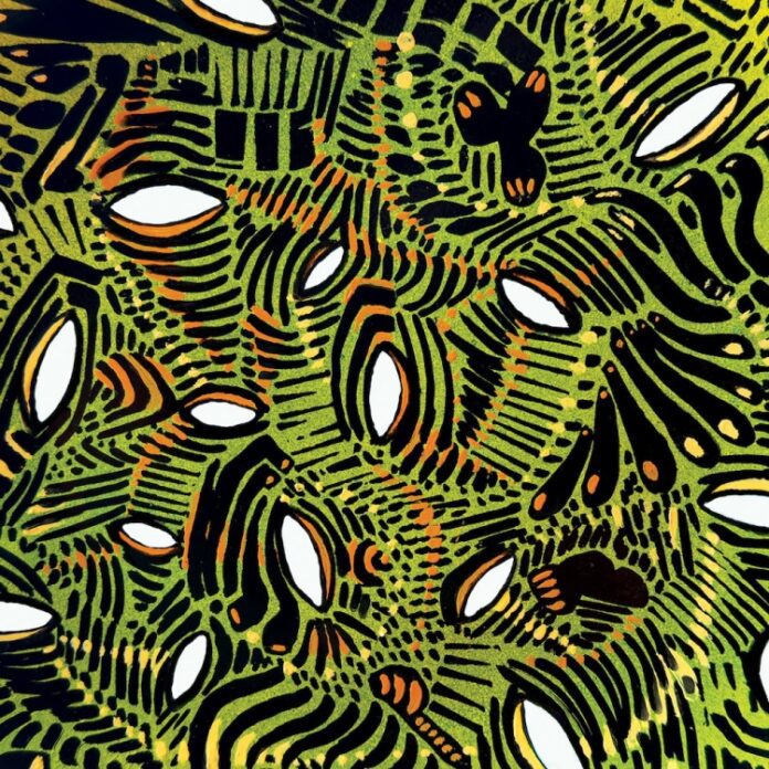 review allbum wild wild wets x1 cong