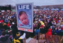 NYT article links ex-MP with Roe v Wade group