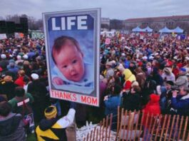 NYT article links ex-MP with Roe v Wade group