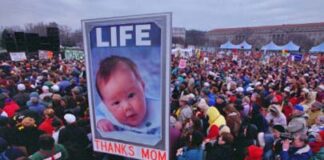 NYT article links ex-MP with Roe v Wade group