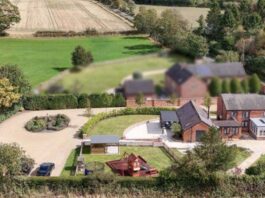 Scheme will give the planners paws to think