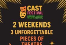 New festival aims to put area centre stage