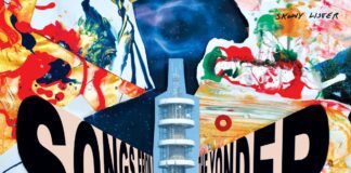 Skinny Lister Songs From The Yonder