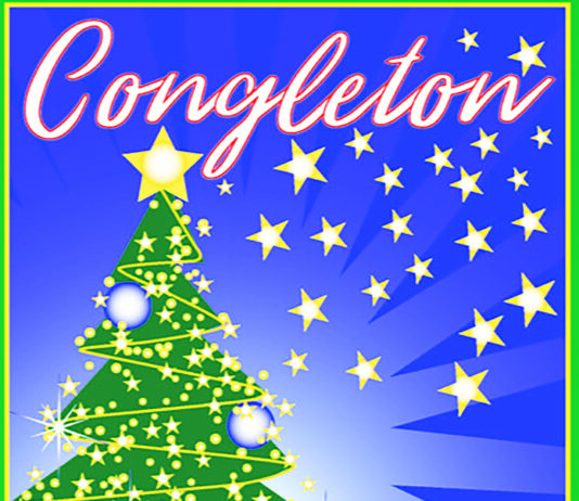 Tree of Light returns to town centre