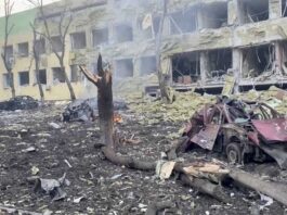 Ukraine may need UK boots on ground: MP