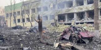 Ukraine may need UK boots on ground: MP