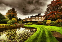 More BnBs would be a big boost for Biddulph business