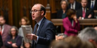 Devo would help boost transport links, says MP