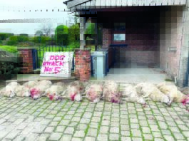 New law protecting farm animals over last hurdle